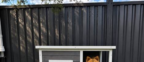 A small dog house with a white and gray exterior, a window, and a dog wearing a blue bow tie.