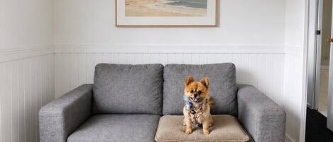 A grey sofa with a cushion, a framed picture of a beach, and a wooden floor.
