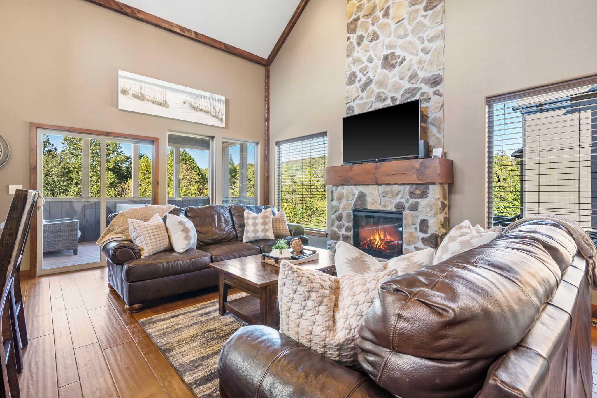 TV, fireplace, video games, DVD player