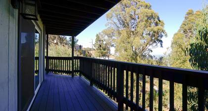 At Marbella Lane - Flamingo Lady, SFO