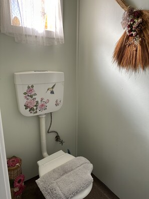 Casa de banho com sanita, chuveiro e janela com cortina.