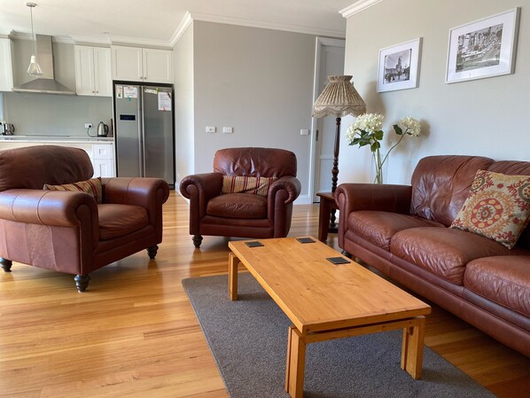 Smart TV, fireplace, Netflix, books