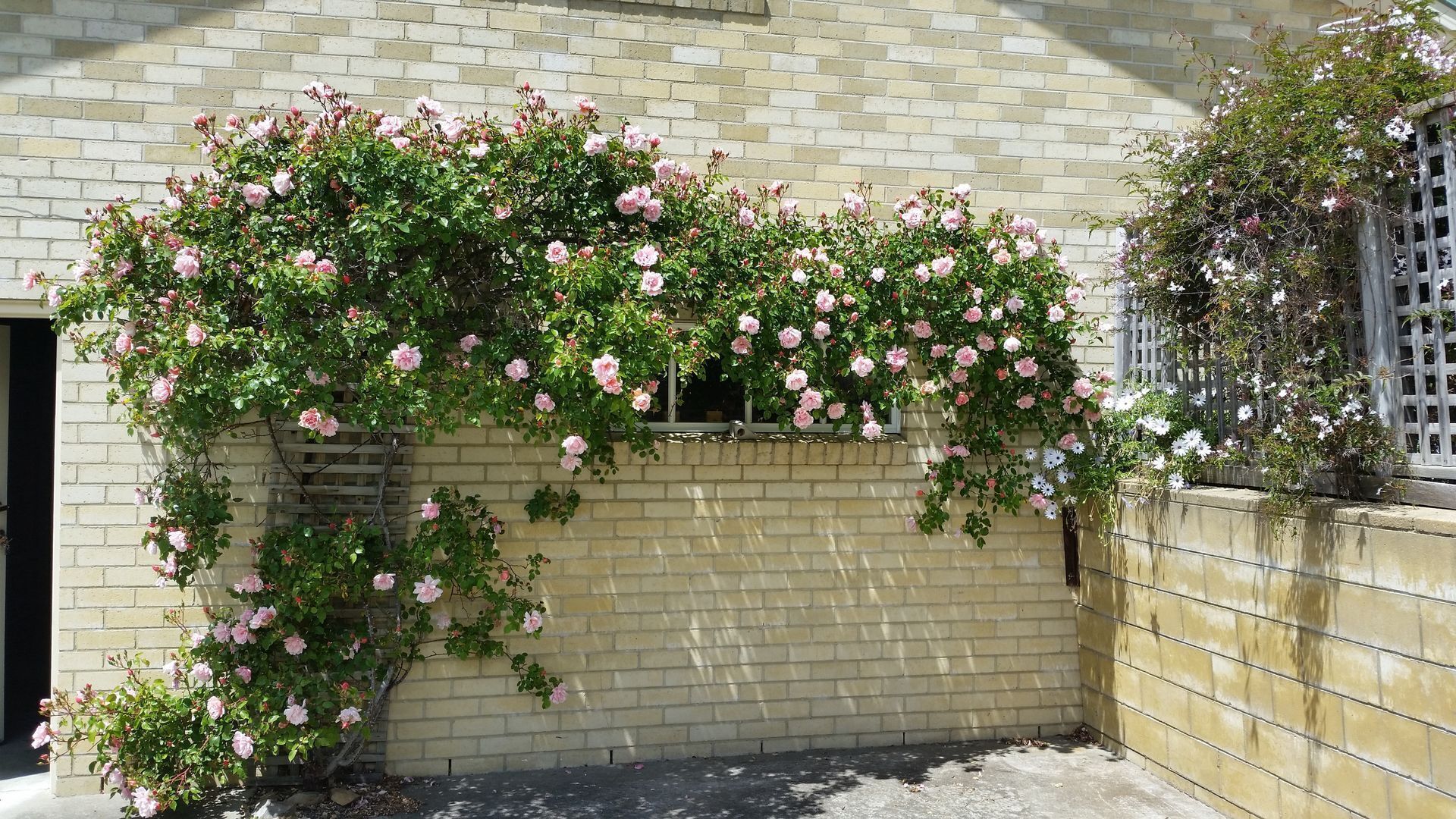    HOBART LOFT ON COPLEY    Weekly and monthly rates  Suitable  for couples . — image 18