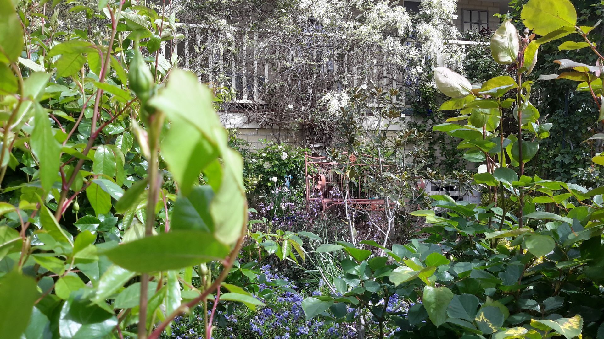    HOBART LOFT ON COPLEY    Weekly and monthly rates  Suitable  for couples . — image 13