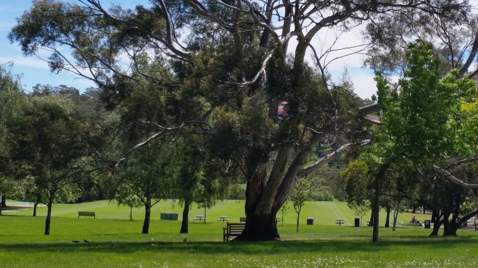    HOBART LOFT ON COPLEY    Weekly and monthly rates  Suitable  for couples . — image 20