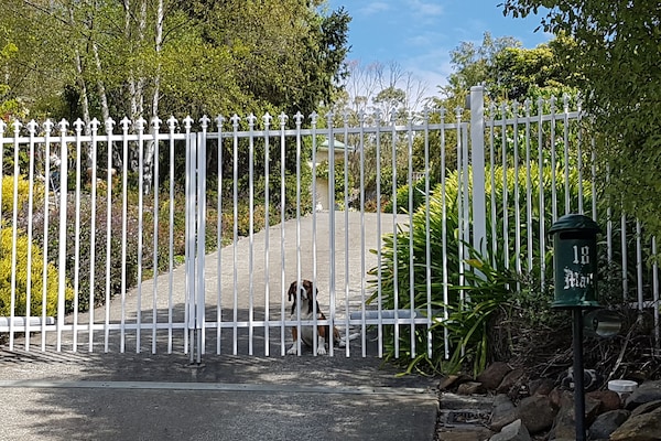 remotely controlled gates 18 Copley