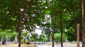 Un parc avec des arbres, un chemin en béton et une grande sculpture.