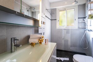 Shower, hair dryer, towels