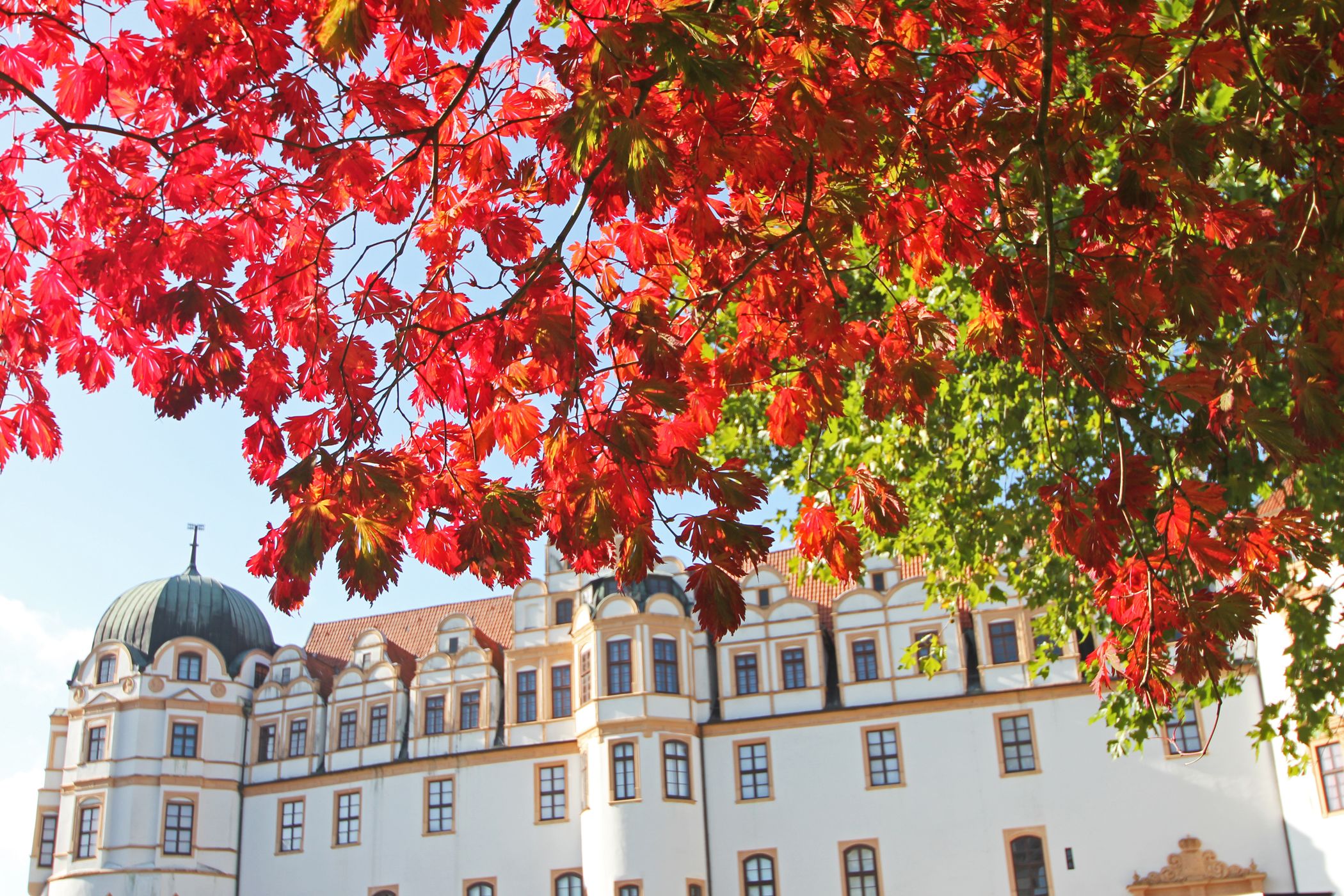 Photo - Heidekönig Hotel Celle