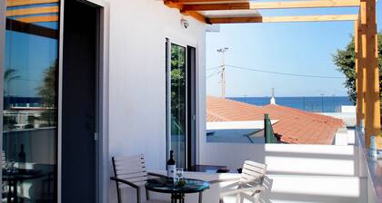 Bivalvia Beach Plus