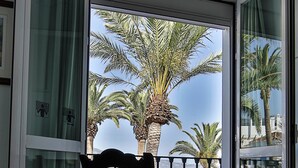 A room with a view of palm trees and the sea through a glass door. - Marissal (Nerja)