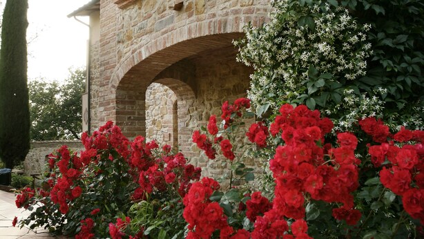 A stone building with a brick archway and wooden balconies. - Il Torrino Country Resort (Montaione)