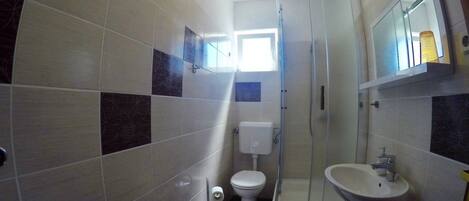 Een kleine badkamer met toilet, wastafel en douche.