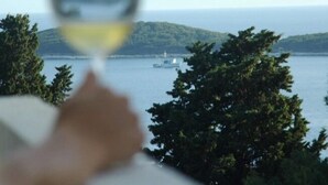 A view of a coastal landscape with a ship in the distance and a glass of wine in the foreground. - Vila Lacman (Hvar)