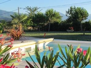 Seasonal outdoor pool, pool umbrellas, pool loungers