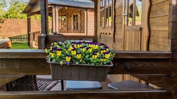 A wooden cabin with a covered porch and a flower pot with yellow and purple flowers. - Karjamaa Camping (Parnu)