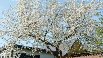 Tempat bermain anak - outdoor