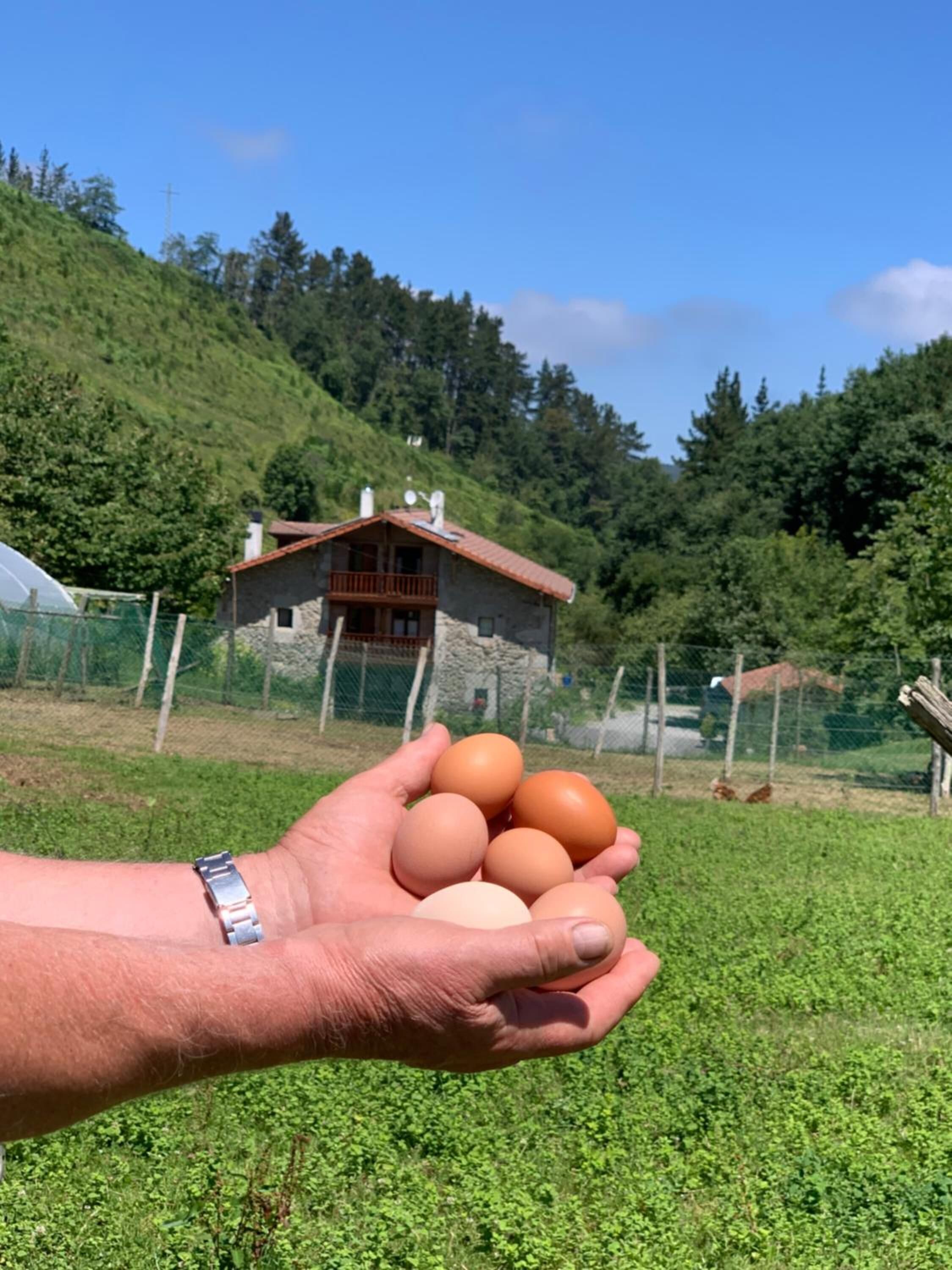 Una mano sostiene varios huevos en un entorno rural, con una casa de piedra al fondo.