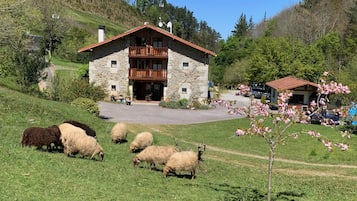 Àrea exterior de l'allotjament