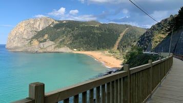 Beach/ocean view