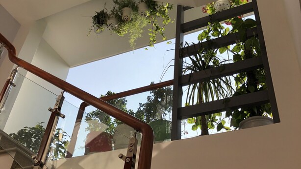 Imagen sin descripción, 1 de 19, botón