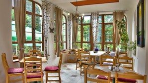 A dining area with wooden tables and chairs, large windows with curtains, and potted plants. - Hotel Pod Šikmou Věží (Holín)