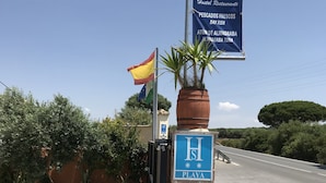 A hotel entrance with a sign for El Mero Hostal Restaurante, a flag, and a palm plant. - Hostal Restaurante El Mero (Barbate)