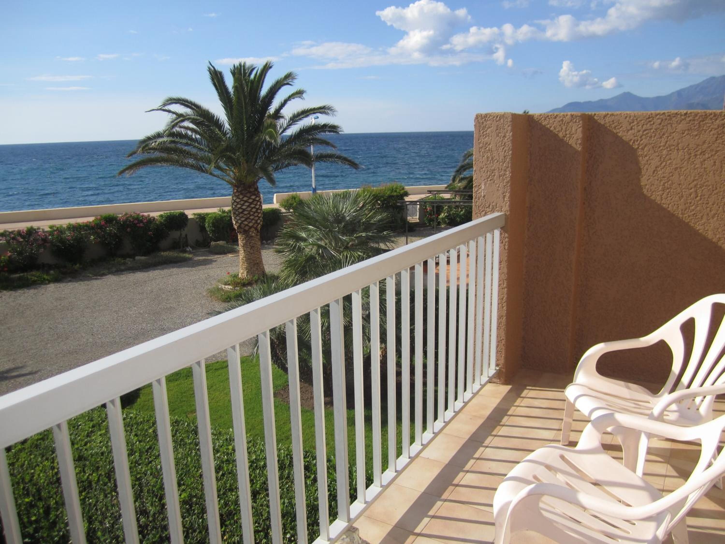 Un balcón con barandilla blanca que da a la costa, con una palmera y vista al mar.