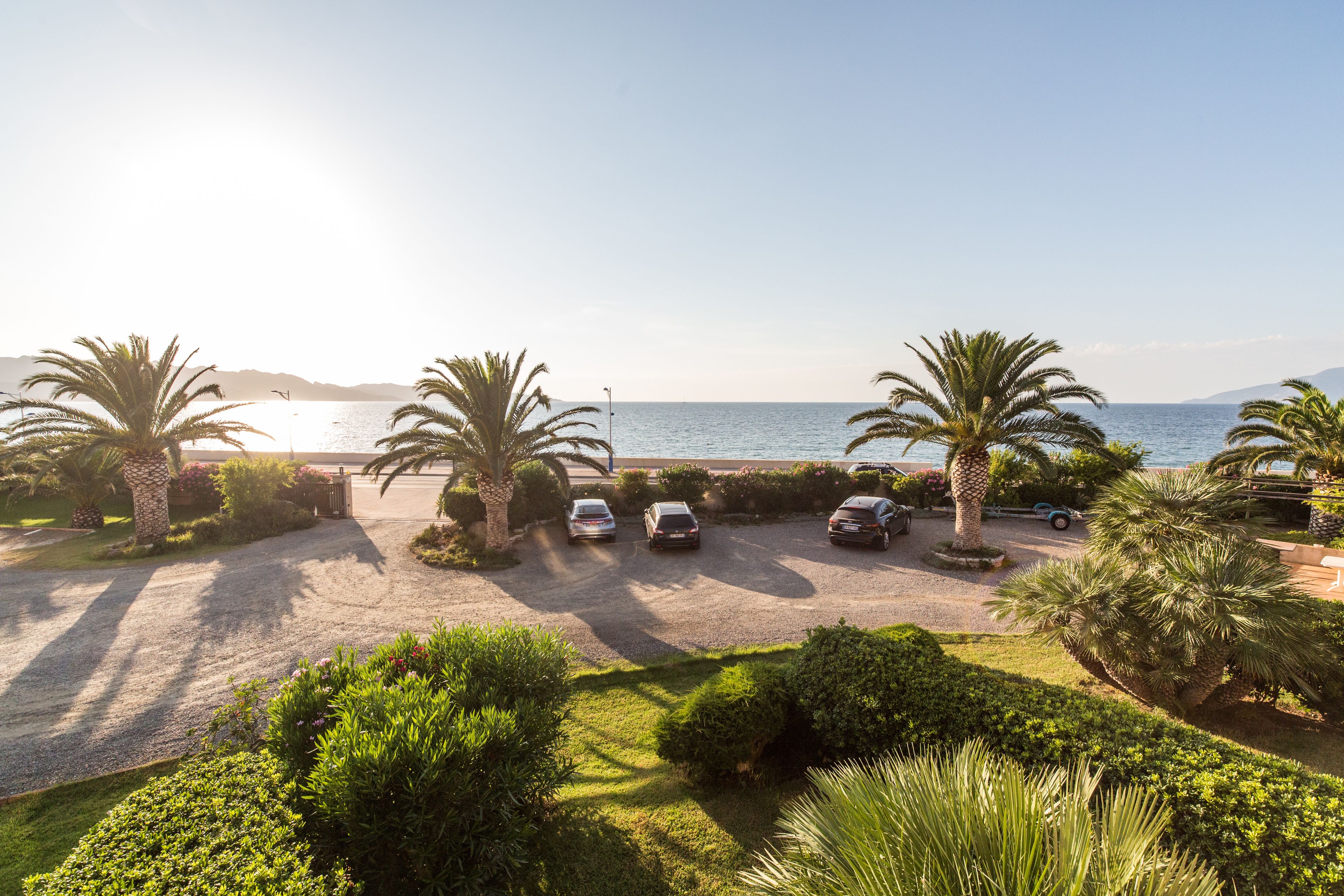 A parking area with three cars, palm trees, and a view of the sea.