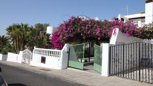 A gated entrance with a white wall and a green gate, surrounded by pink bougainvillea flowers. - Spacious two bedroom house near the beach with private terrace and sea views (Puerto del Carmen)