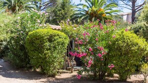 A garden with neatly trimmed hedges and flowering plants. - Residence Les Arbousiers (Oletta)