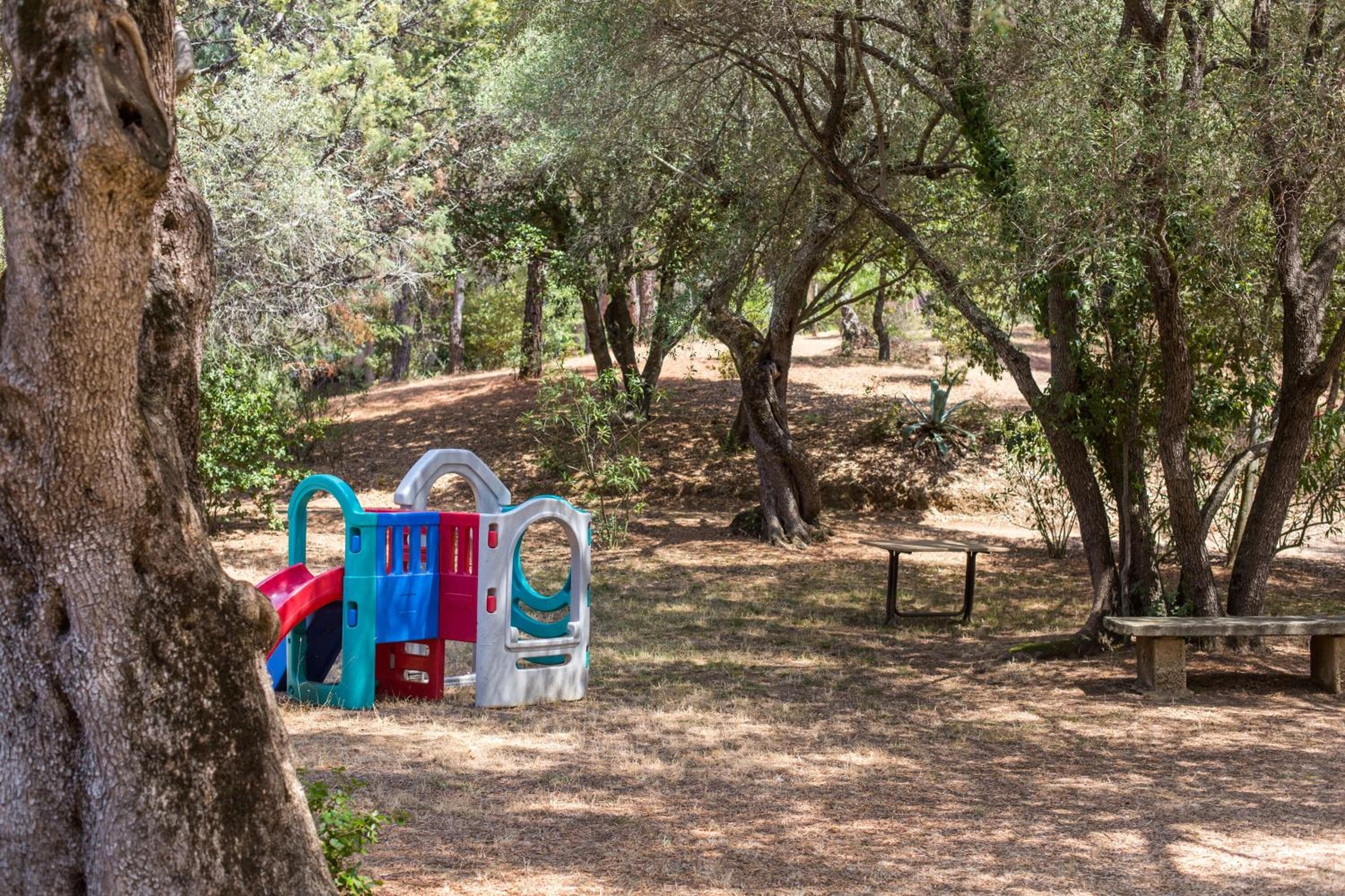 A park with playground equipment, a bench, and trees.