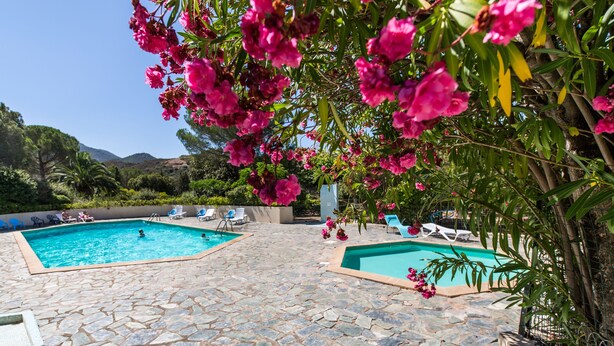 A pool area with stone flooring and two swimming pools, surrounded by lush greenery and pink flowers. - Residence Les Arbousiers (Oletta)