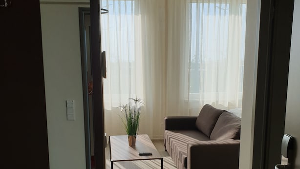 Un salon moderne avec un canapé, une table basse et une plante en pot.