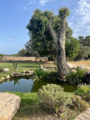 المنطقة المحيطة بالمنشأة