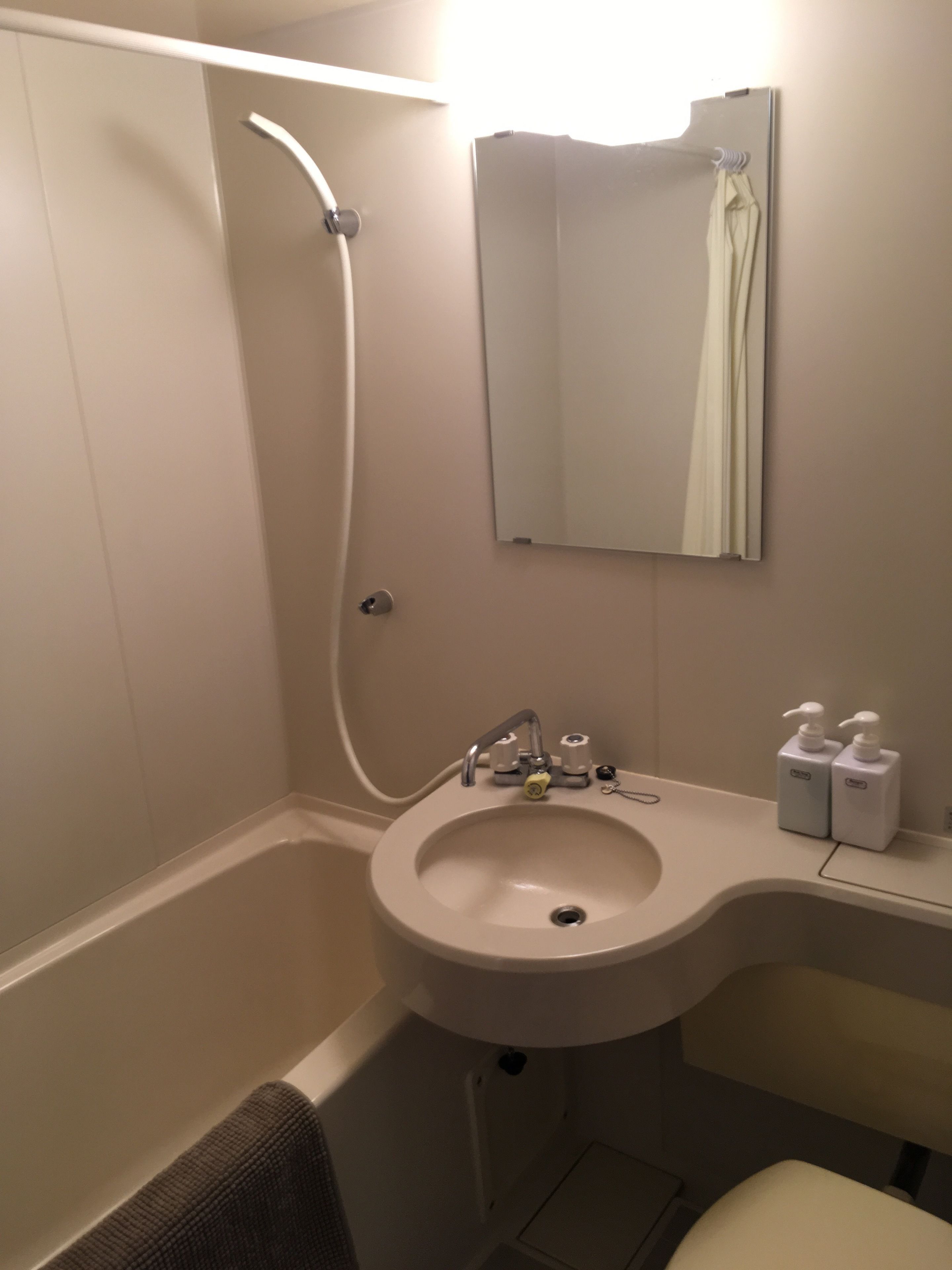 combined shower/bathtub, deep-soaking bathtub, free toiletries