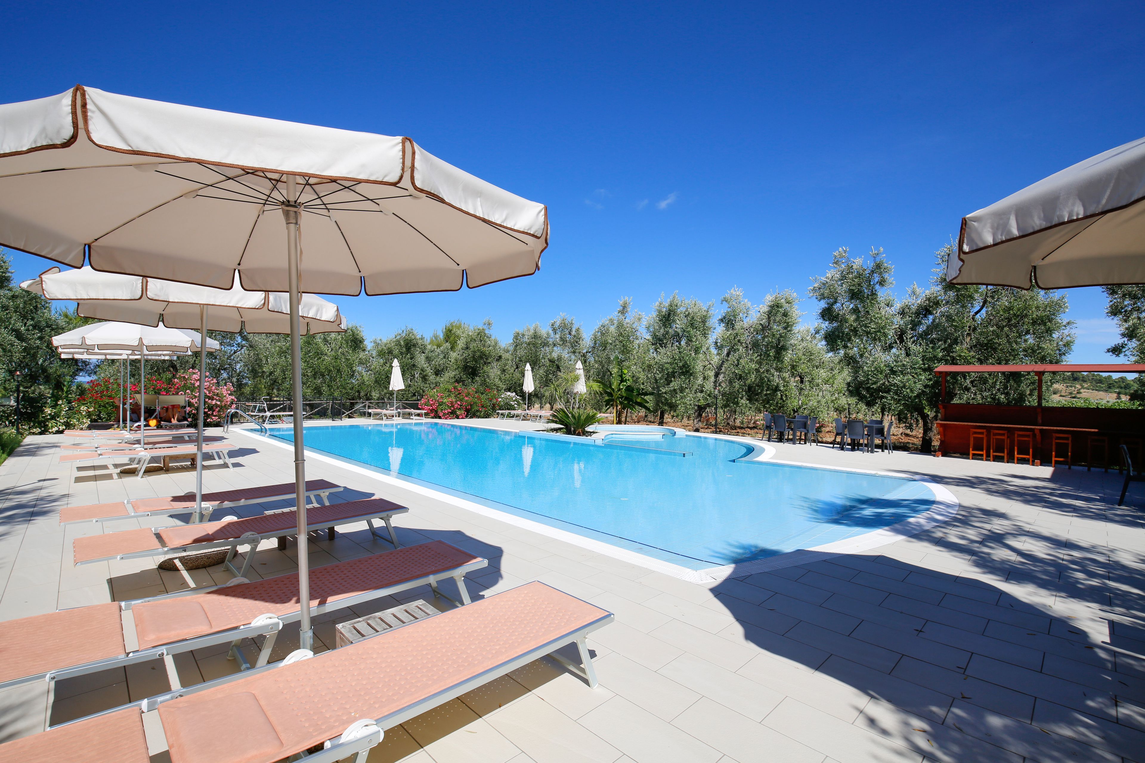 季節性室外泳池、無邊際泳池；08:00 至 20:00 開放；泳池傘、躺椅