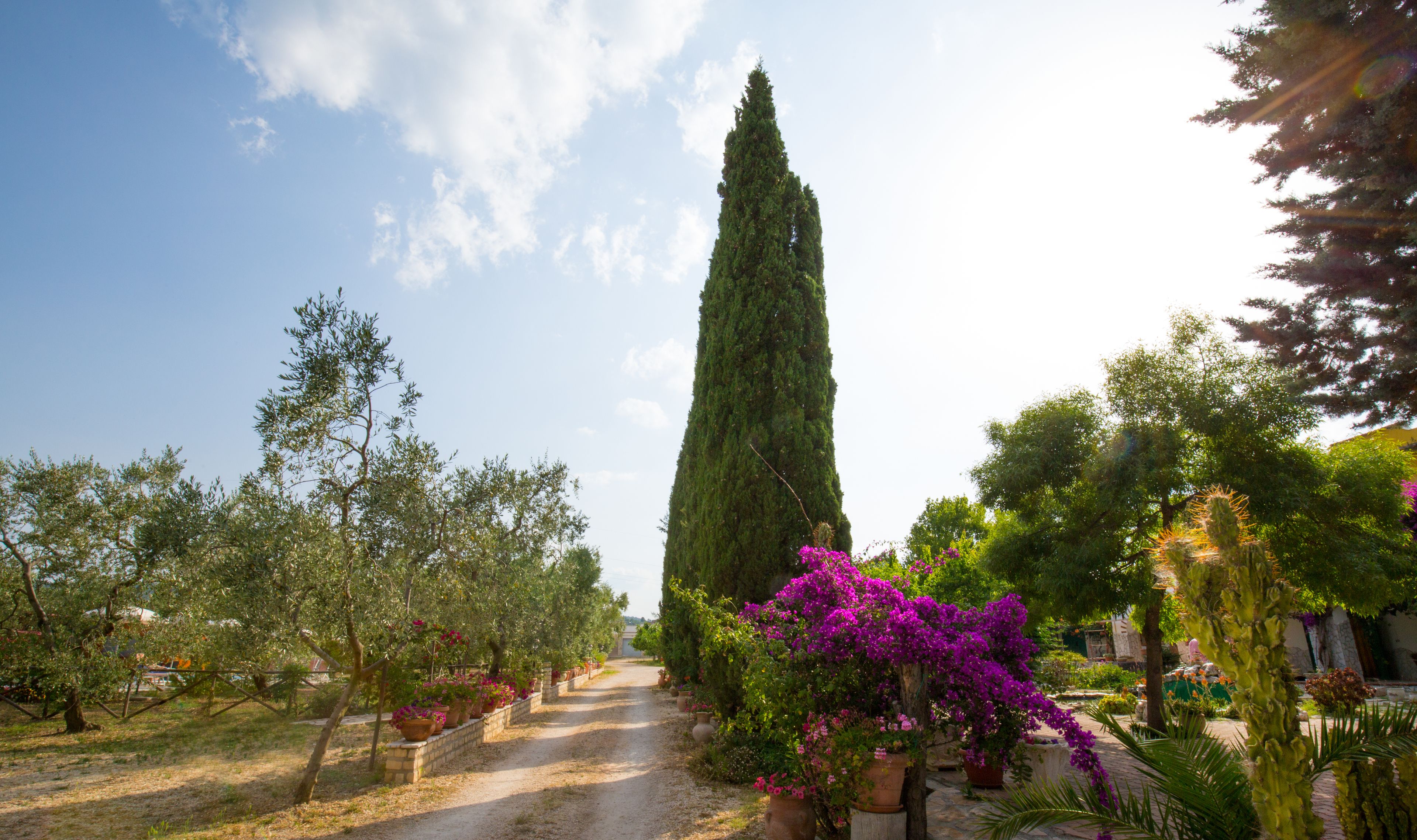 Foto - Agriturismo Posta Pastorella
