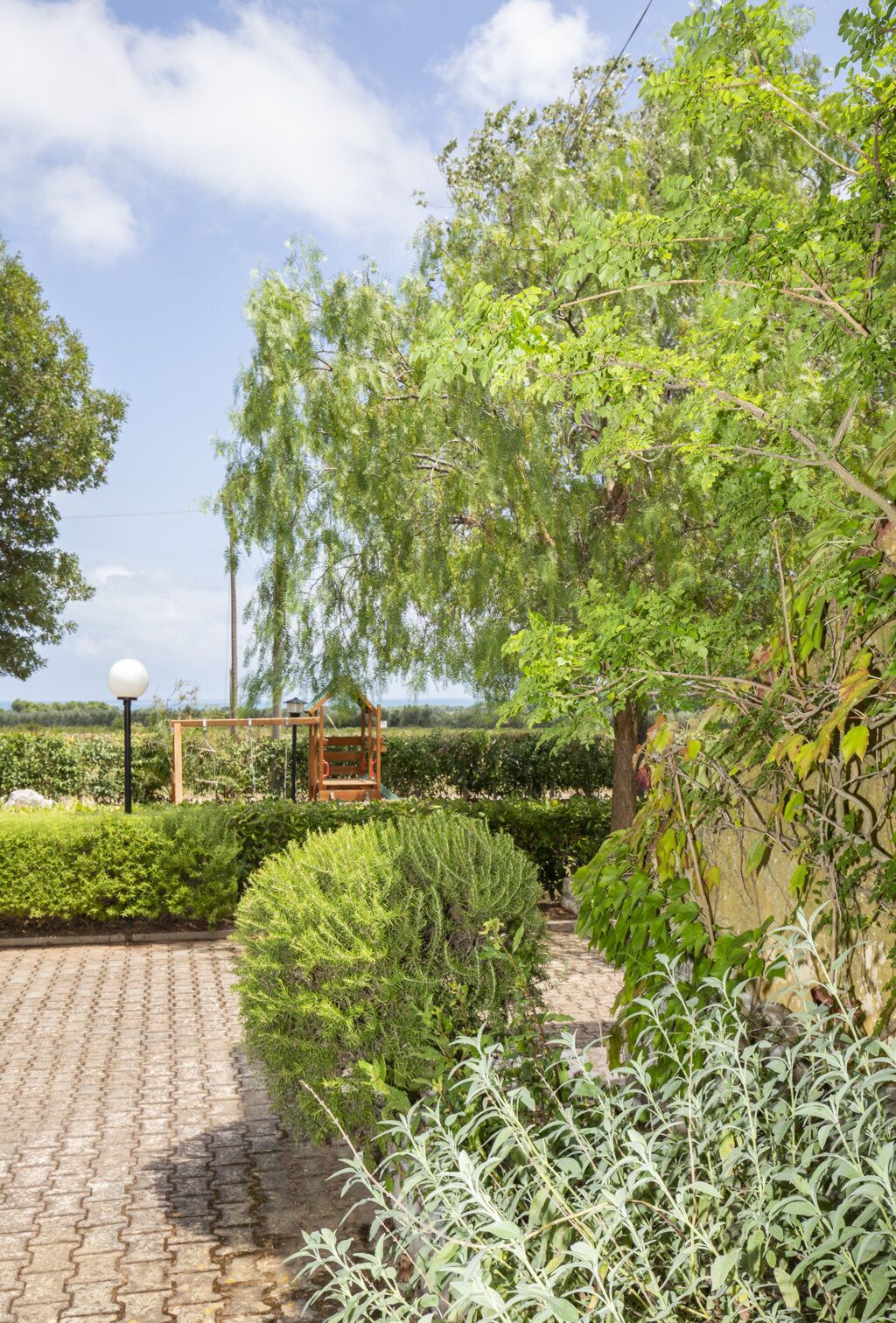 A garden with a wooden pergola, a paved walkway, and various shrubs and trees.