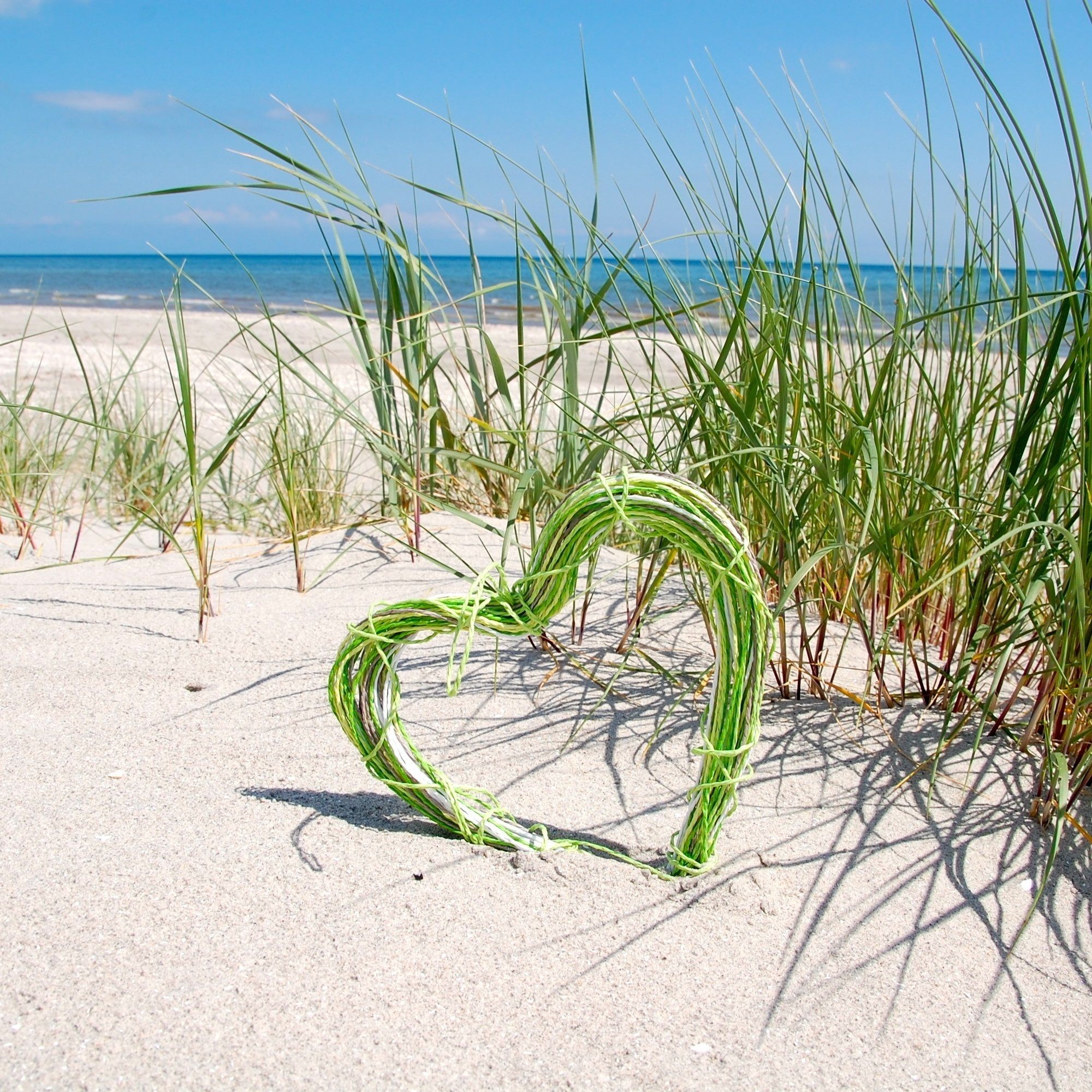 En hjerteformet samling af grønne planter på en sandstrand med en klar blå himmel og hav i baggrunden.