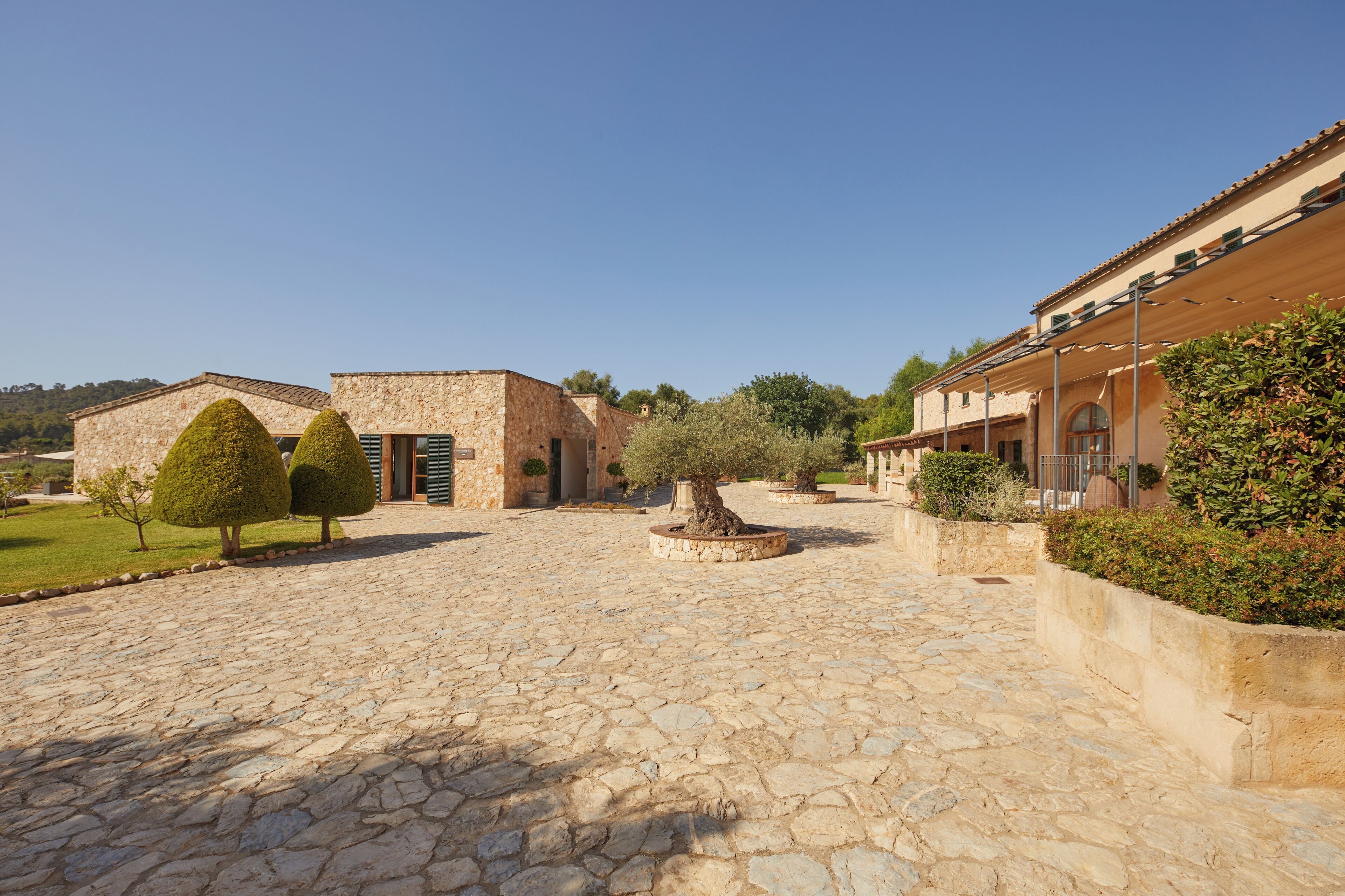 A courtyard with stone flooring, a central tree, and buildings with stone walls and tiled roofs.
