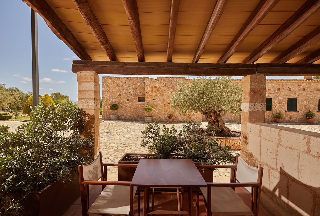 Standard room with terrace | Terrasse/Patio