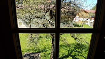 Vista desde la habitación