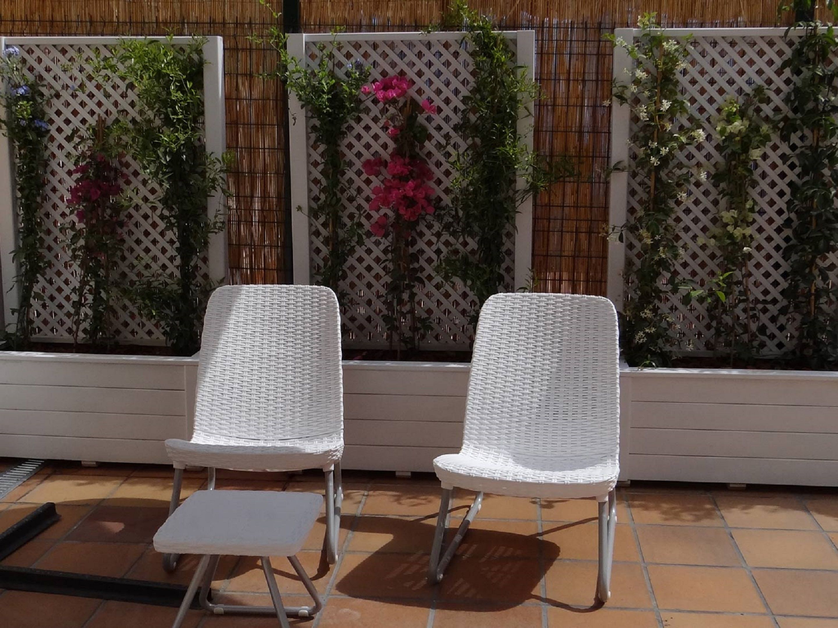 Foto - Hostal Balkonis