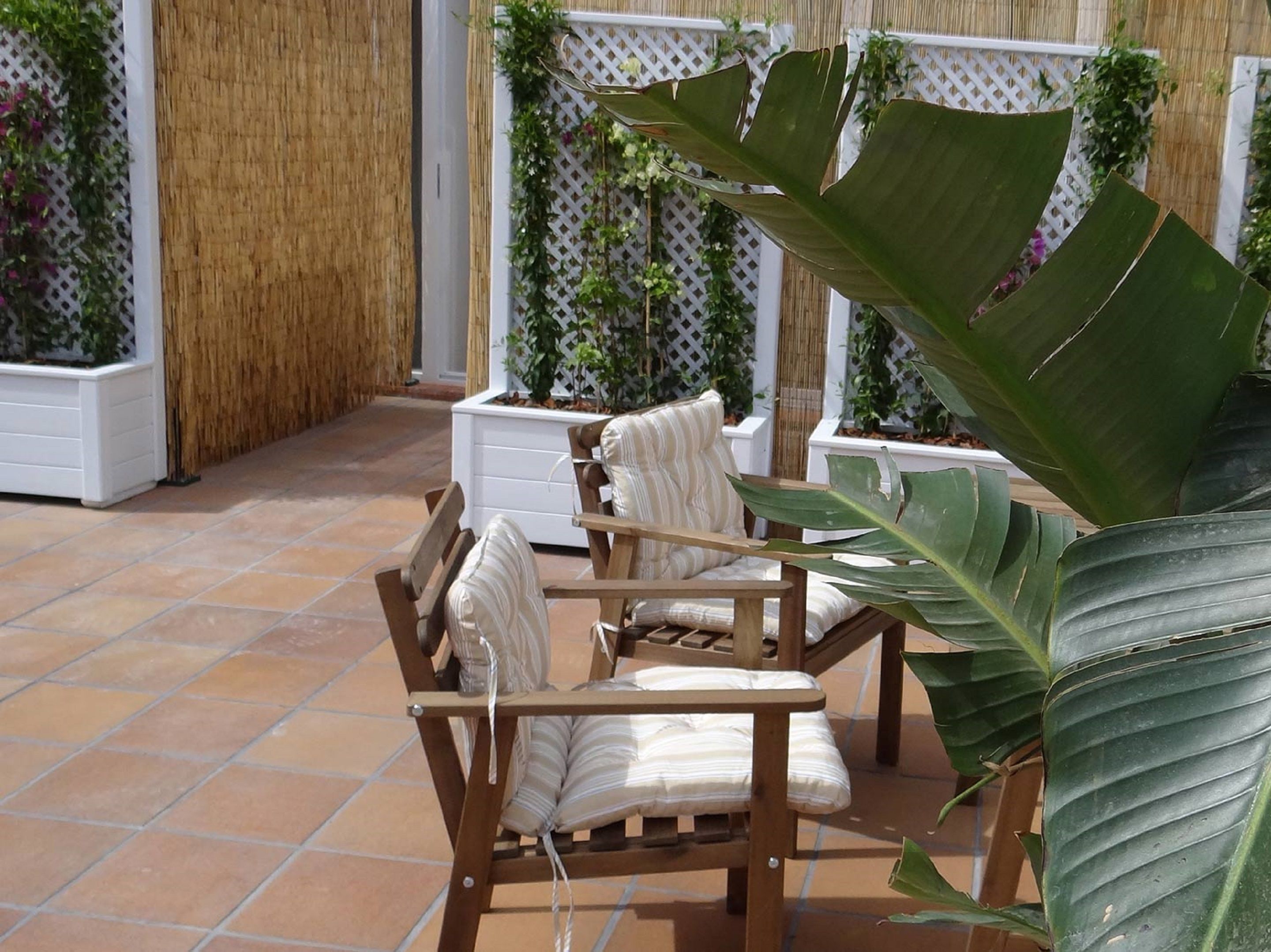 Foto - Hostal Balkonis