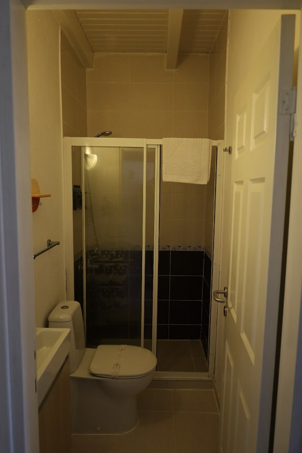 A compact bathroom with a toilet, a glass-enclosed shower, and a white door. - Serin Konak (Cesme)