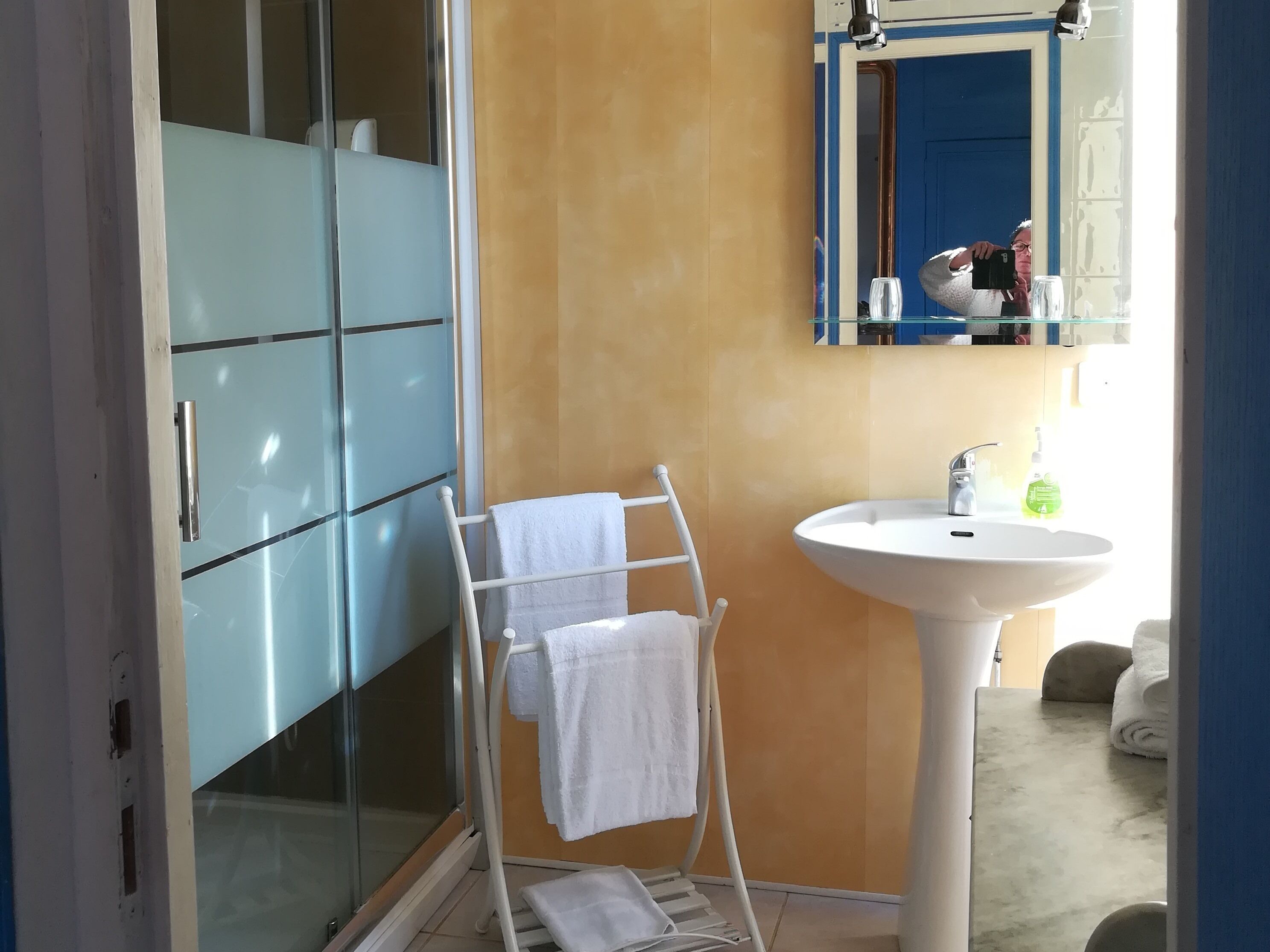 A bathroom with a glass shower enclosure, a white towel rack, a sink with a mirror above it, and a blue door in the background.