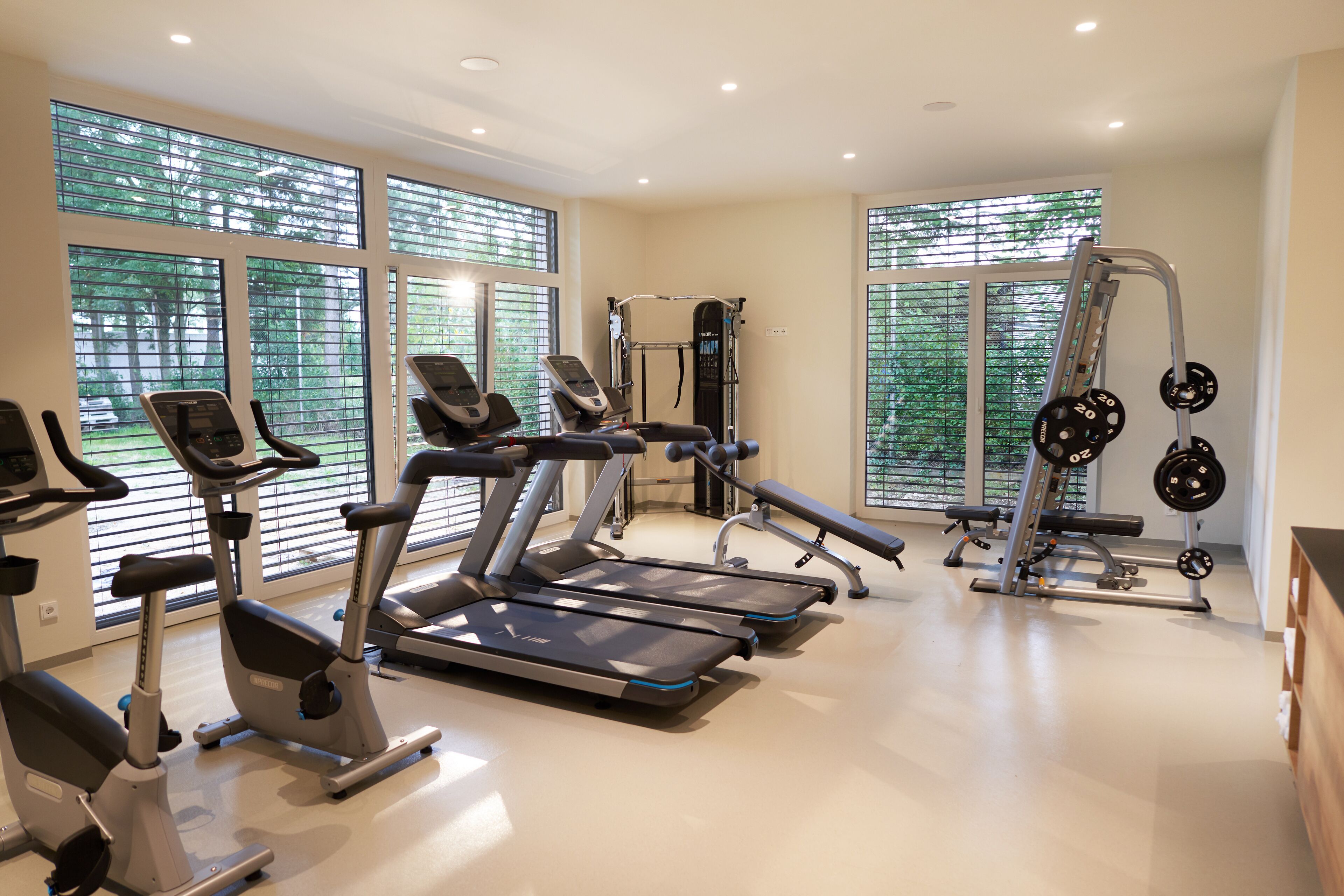 Un gimnasio con cintas de correr, una banca de pesas y una estructura para sentadillas.