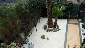 Jardí amb una palmera, una petita bassa i un camí.