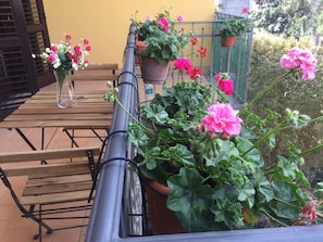 Suite familiar, terraza | Terraza o patio